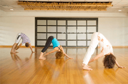 Yoga Teachers Fellowship